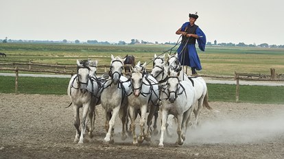 Debrecen - Hortobágy - Hajdúszoboszló