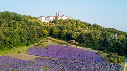 Tata - Pannonhalma