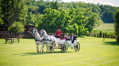 Excursion to Gödöllő and Lazar Brothers Equestrian Park