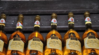 Taste the sunshine wines of Hungary