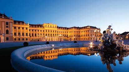 Excursion to Vienna