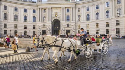 Excursion to Vienna