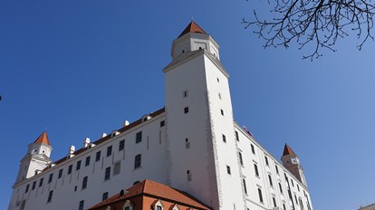 Legendary Cities on the Danube and Prague