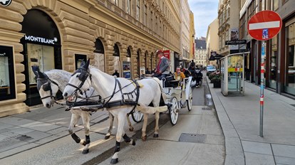 Excursion to Vienna